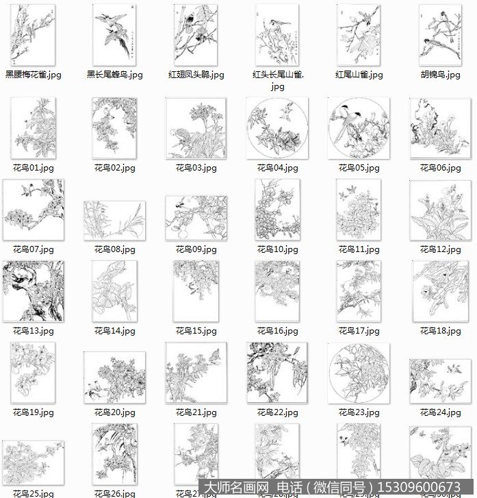 白描花鸟底稿超高清作品百度云网盘打包下载