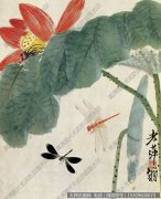 齐白石《荷花蜻蜓》国画作品高清61下载